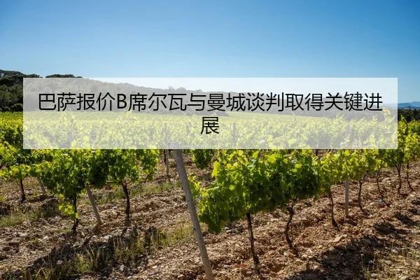 巴萨报价B席尔瓦与曼城谈判取得关键进展