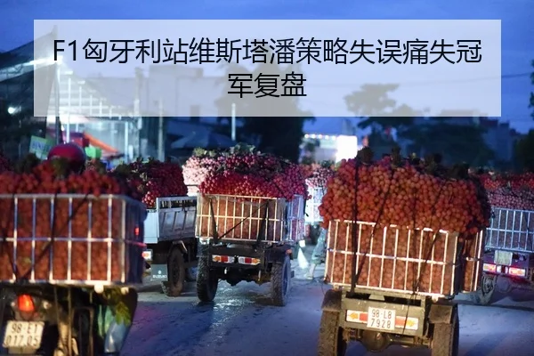 F1匈牙利站维斯塔潘策略失误痛失冠军复盘