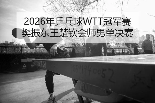 2026年乒乓球WTT冠军赛樊振东王楚钦会师男单决赛